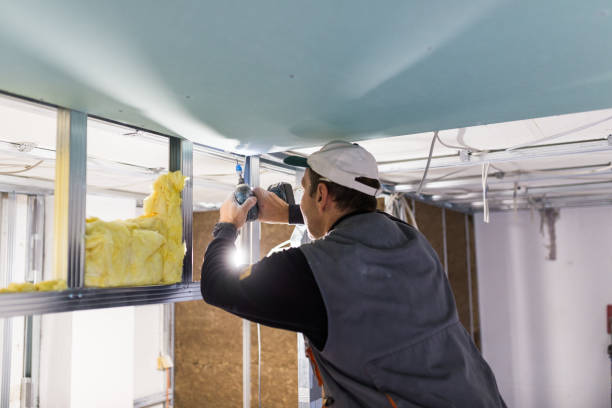 Best Spray Foam Insulation in Mayville, MI
