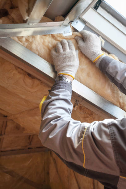Best Cellulose Insulation in Mayville, MI
