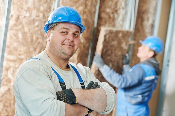 Best Geographic-Specific Insulation Services in Mayville, MI