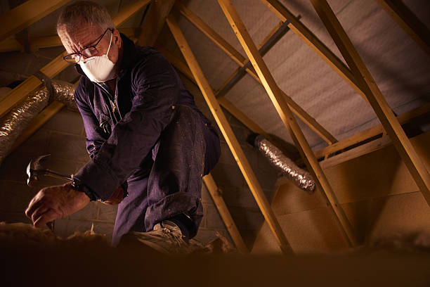Best Residential Insulation in Mayville, MI